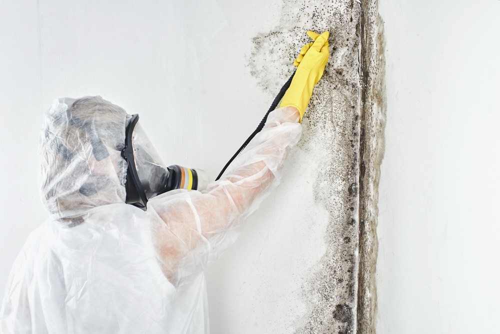 is mold remediation necessary?